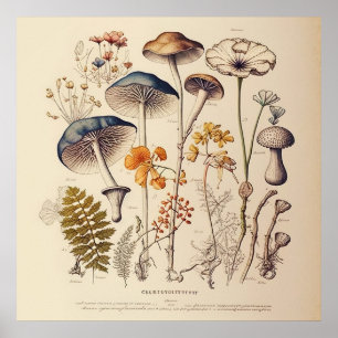 Vintage Mushroom Naturalist Poster