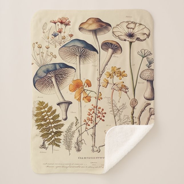 Vintage Mushroom Naturalist Sherpa Blanket (Front)