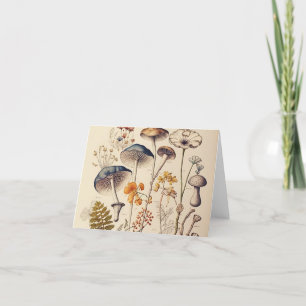 Vintage Mushroom Naturalist Thank You Card