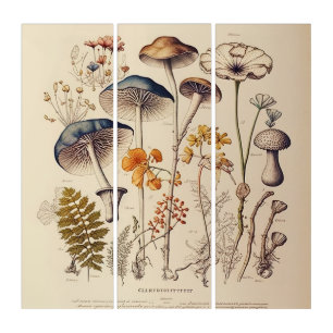 Vintage Mushroom Naturalist Triptych