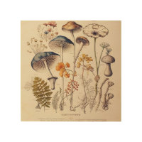 Vintage Mushroom Naturalist