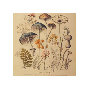 Vintage Mushroom Naturalist Wood Wall Art