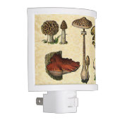 Vintage Mushroom Nightlight (Right)