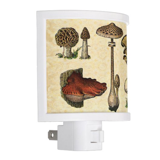 Vintage Mushroom Nightlight (Right)