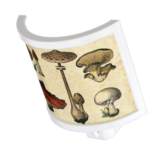 Vintage Mushroom Nightlight (Angled)