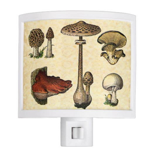Vintage Mushroom Nightlight (Front)