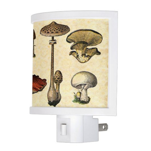 Vintage Mushroom Nightlight (Left)
