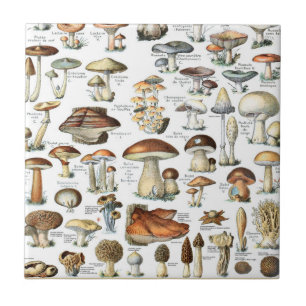 Vintage Mushroom Pattern Ceramic Tile
