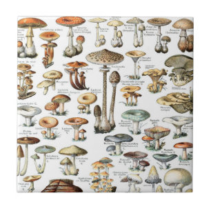 Vintage Mushroom Pattern Ceramic Tile