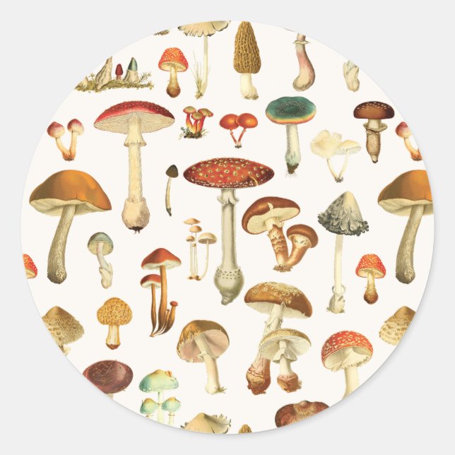Vintage Mushroom Pattern Classic Round Sticker (Front)