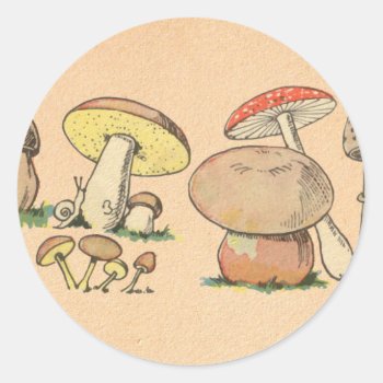 Vintage Mushroom Print Classic Round Sticker by Kinder_Kleider at Zazzle
