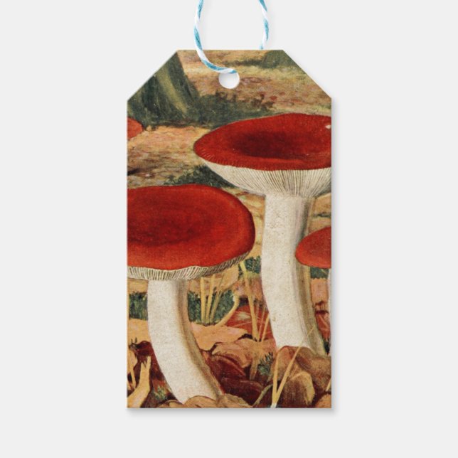 Vintage Mushroom Scrapbook  Gift Tags (Front)