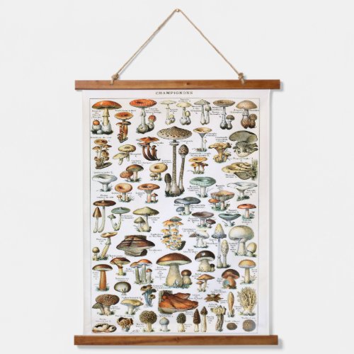 Vintage Mushroom Specimen Hanging Panel  Hanging Tapestry