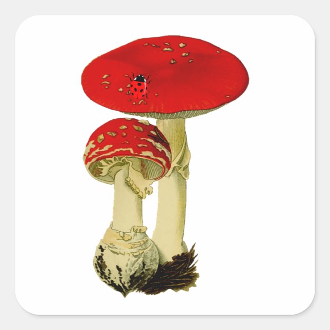 Vintage Mushroom Square Sticker (Front)