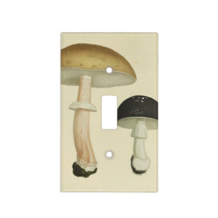 Vintage Mushroom Toadstool Illustration Brown Cap Light Switch Cover