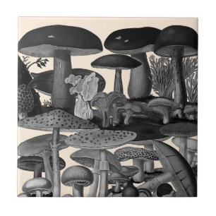 Vintage mushrooms black and white illustration ceramic tile