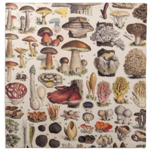 Vintage Mushrooms By Adolphe Millot Cloth Napkin