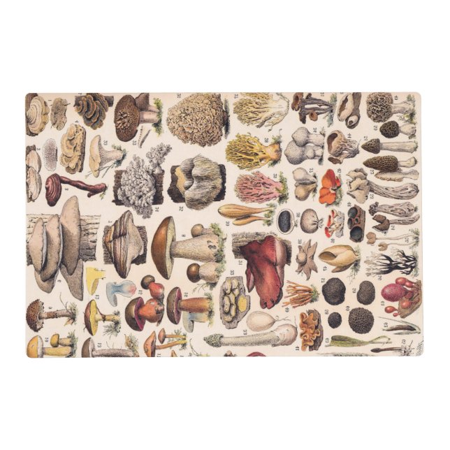 Vintage Mushrooms By Adolphe Millot Placemat (Front)