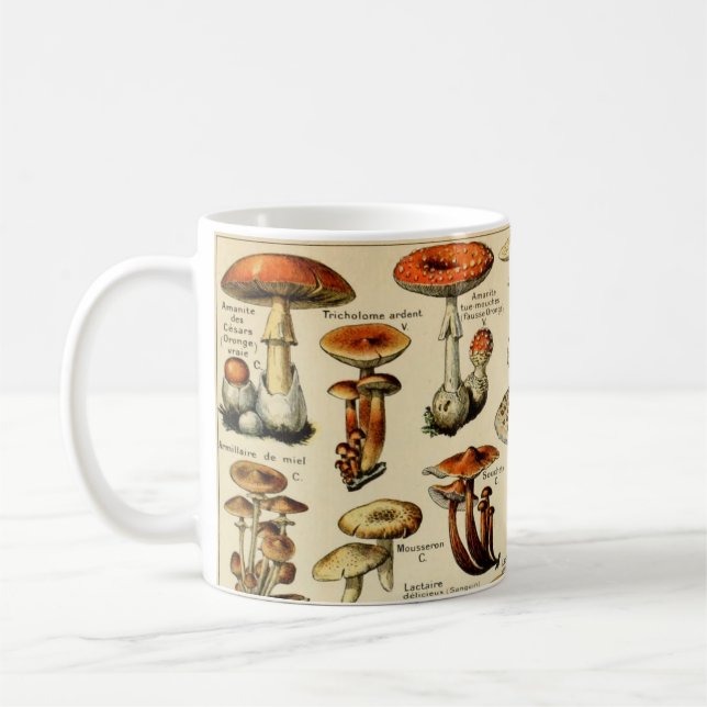 Vintage Mushrooms & Fungi #3 Coffee Mug (Left)