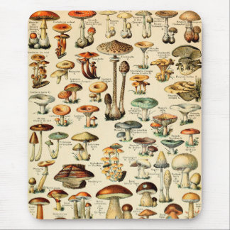 Vintage Mushrooms & Fungi Mouse Pad