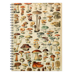 Vintage Mushrooms & Fungi Notebook