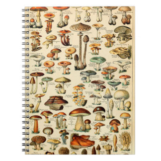 Vintage Mushrooms & Fungi Notebook