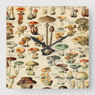 Vintage Mushrooms & Fungi Square Wall Clock