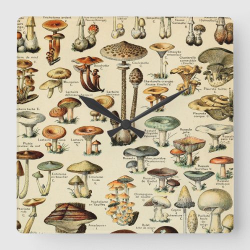 Vintage Mushrooms  Fungi Square Wall Clock