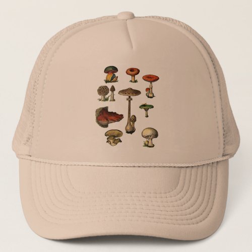 Vintage Mushrooms Hat