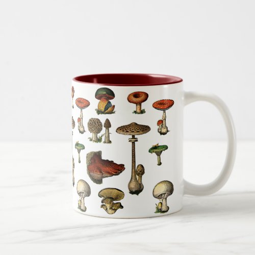 Vintage Mushrooms Mug