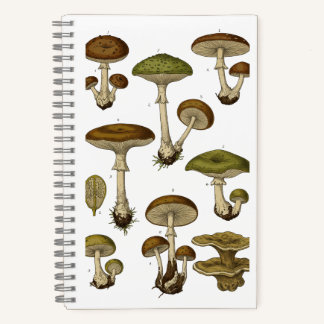 Vintage Mushrooms Notebook