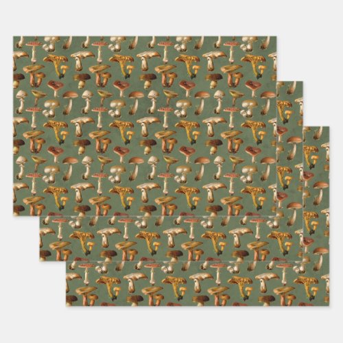 Vintage Mushrooms on Green Wrapping Paper Sheets