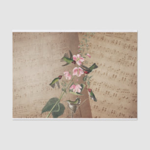 Vintage Music Sheets, Humming Birds, Pink Flowers Tissue Paper