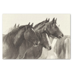 Vintage Mustang Horses Tissue Paper