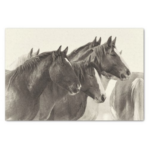 Vintage Mustang Horses Tissue Paper