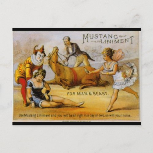 Vintage Mustang Liniment Postcard