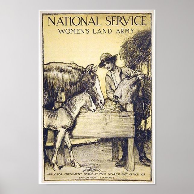 Vintage Naitonal Service Women's Land Army Recruit Poster (Front)