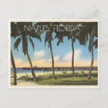 Vintage Naples, Florida view of gulf Postcard