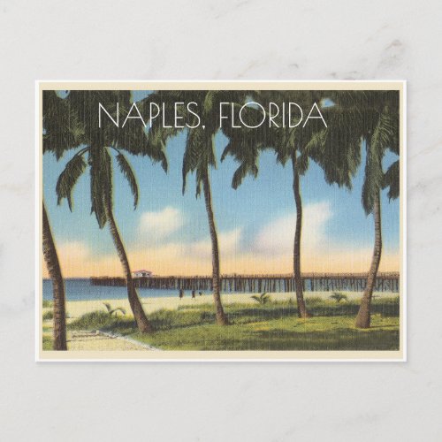 Vintage Naples Florida view of gulf Postcard