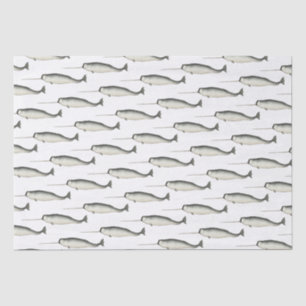 Vintage Narwhal Narwhale Drawing #3 Tissue Paper