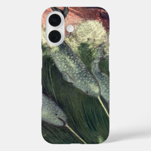 Vintage Narwhals, Marine Life Whales Ocean Animals iPhone 16 Case