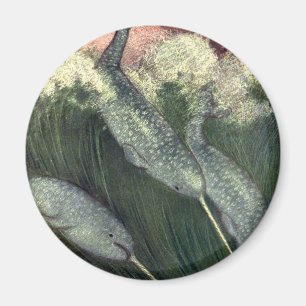 Vintage Narwhals, Marine Life Whales Ocean Animals Magnet