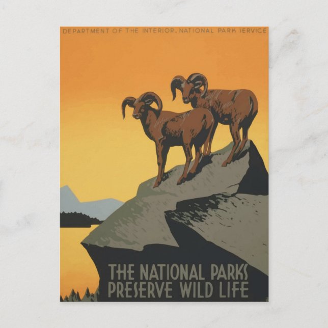 Vintage National Park Retro Travel Poster Postcard (Front)