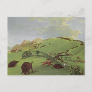 Vintage Native Americans, Buffalo Chase by Catlin Postcard