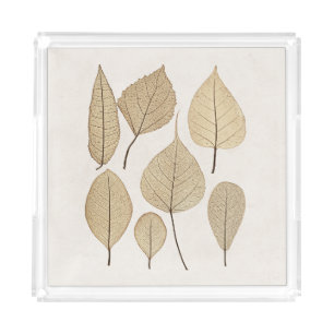 Vintage Naturalist Botanical Drawing   Leaves 1858 Acrylic Tray