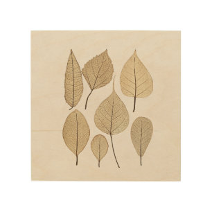 Vintage Naturalist Botanical Drawing Leaves 1858 Wood Wall Art