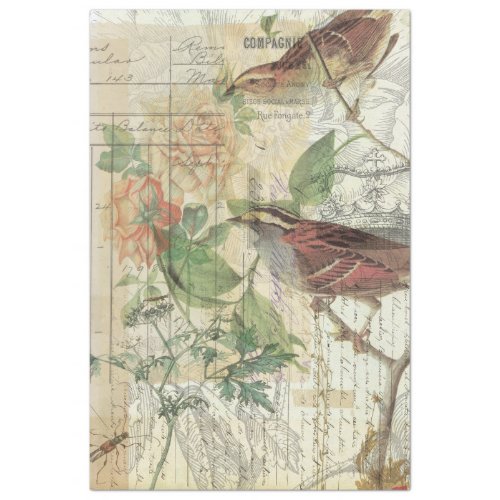 Vintage Nature Collage Tissue Paper