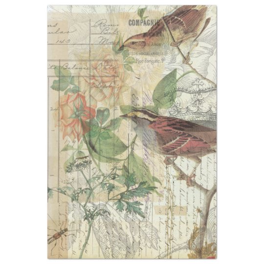 Vintage Nature Collage Tissue Paper | Zazzle.com