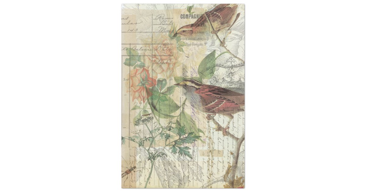 Vintage Nature Collage Tissue Paper | Zazzle