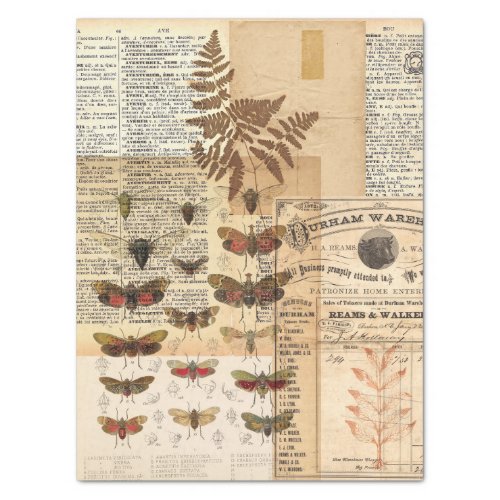 Vintage Nature Collage Tissue Tissue Paper